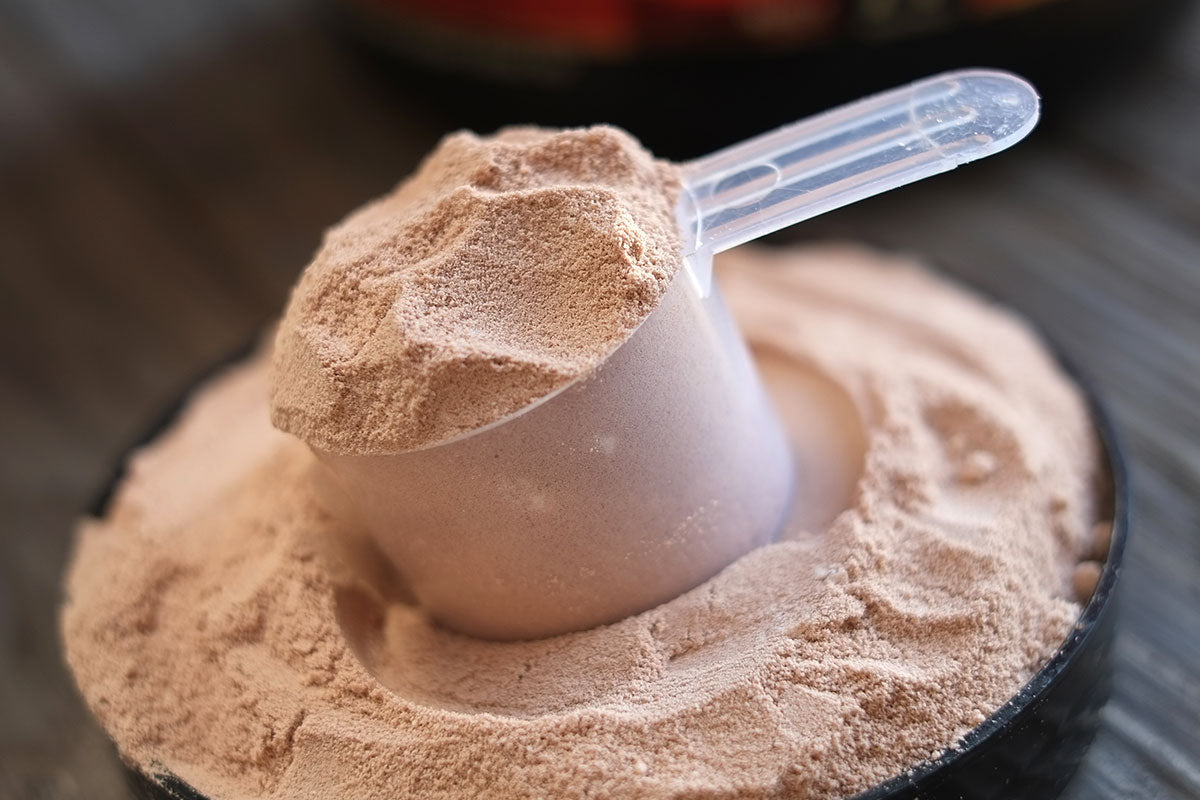 Casein vs Whey Protein