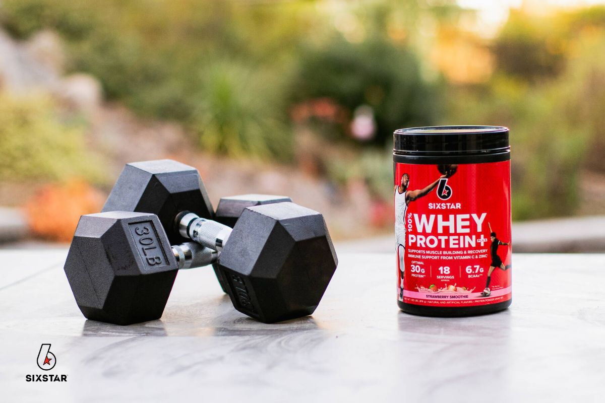 Whey Protein vs. Plant Protein - SIXSTAR