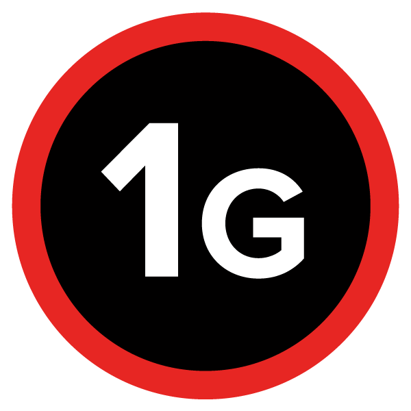 Icon: 1G
