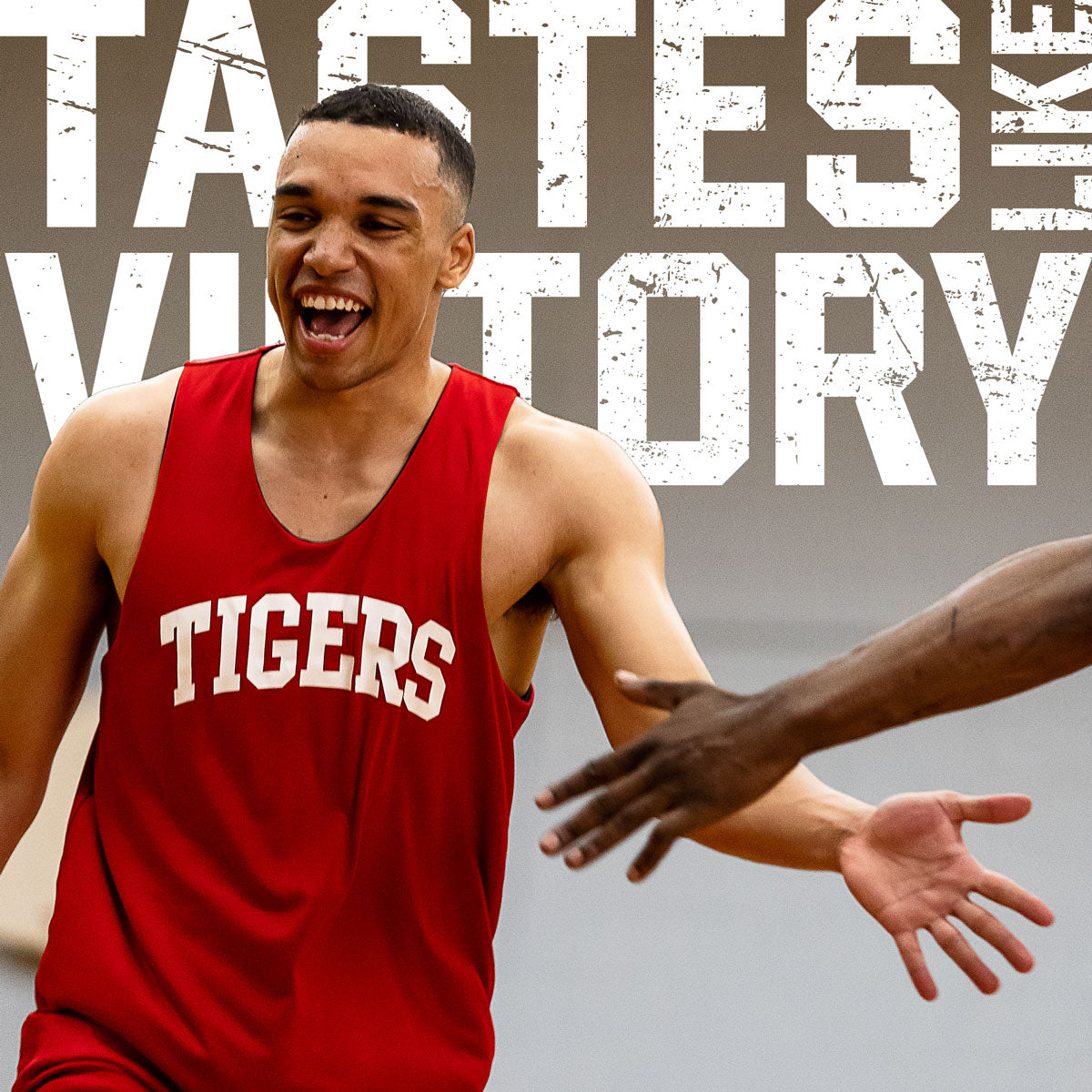 100% Whey Protein Plus - Froot Loops